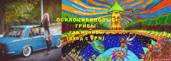 шишки Нягань